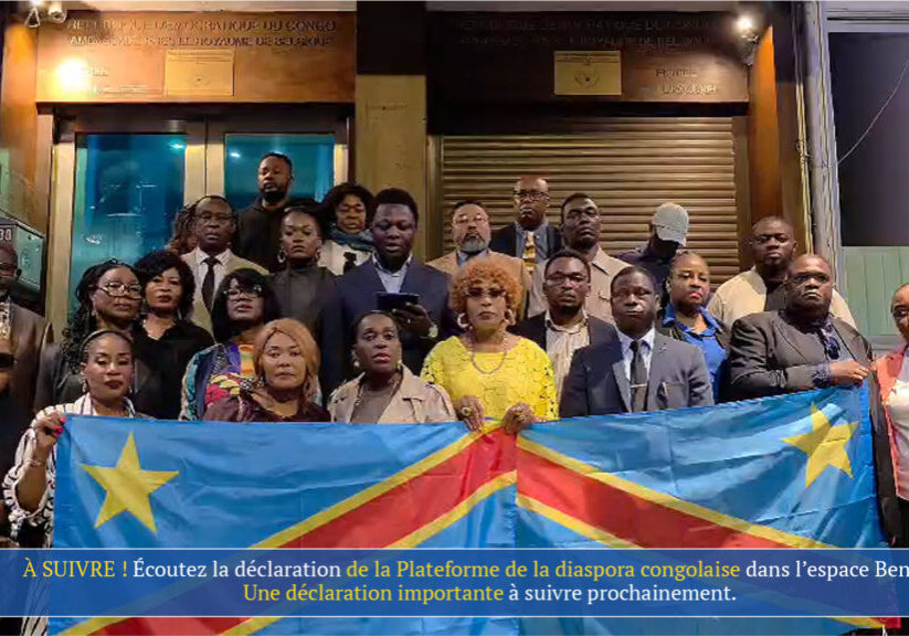 déclaration_plateforme_diaspora_congolaise_benelux_europe_14_septembre_2026