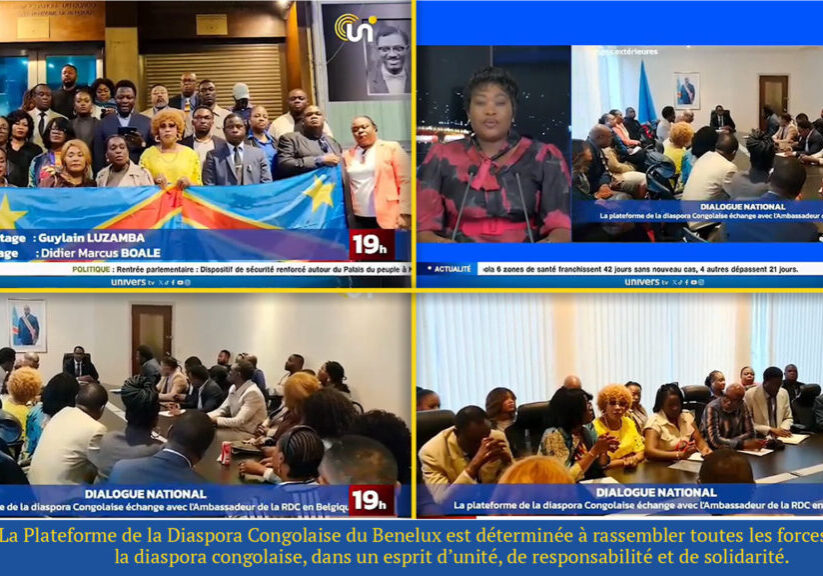 plateforme_diaspora_congolaise_benelux_reunion_16_septembre_2026